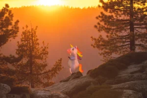 Próximo unicornio chileno - Daniel Fajardo